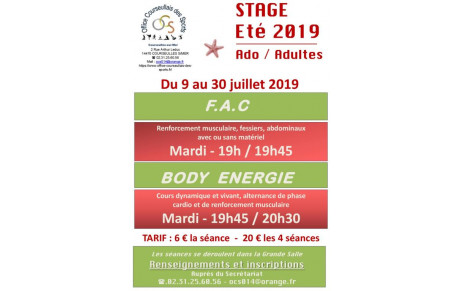 STAGES FITNESS (F.A.C - Body Energie)